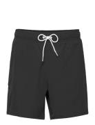 Hco. Guys Swim Black Hollister