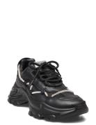 Miracles Sneaker Black Steve Madden