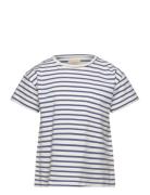 T-Shirt Ss Stripe Blue Creamie