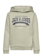 Jjelogo Sweat Hood 2 Col 23/24 Sn Mni Green Jack & J S