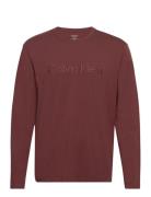 L/S Crew Neck Brown Calvin Klein