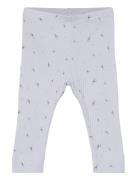 Leggings Rib Blue Fixoni