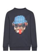 Sweatshirt Ls Blue Minymo