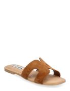 Zarnia Sandal Brown Steve Madden