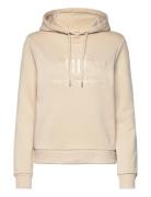 Tonal Archive Shield Hoodie Beige GANT