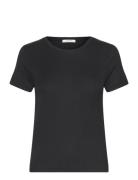 Top Helga Black Lindex