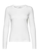 Smooth Cotton Crew Neck Tee Ls White Calvin Klein