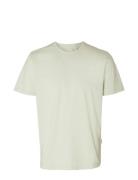 Slhaspen Mini Str Ss O-Neck Tee Noos Cream Selected Homme