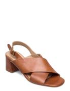 Sandals - Block Heels Brown ANGULUS