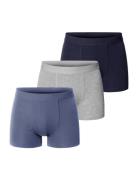 3-Pack Boxer Brief Aw24 Mixed Colors Blue Bread & Boxers