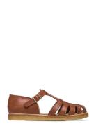 Sandals - Flat - Closed Toe - Op Brown ANGULUS