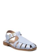 Sandals - Flat - Closed Toe - Op Blue ANGULUS