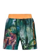 Swimming Shorts Patterned Sun City Jurassic Park
