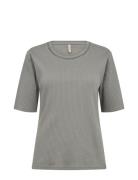 Sc-Daloa Grey Soyaconcept