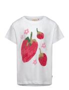 Fragola T-Shirt Patterned Ma-ia Family