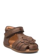 Starters™ Flower Velcro Sandal Brown Pom Pom