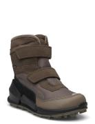 Biom K2 Brown ECCO