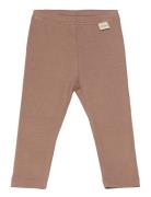 Legging Modal Brown Petit Piao