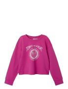Nkfvanita Ls Short Boxy Sweat Unb Pink Name It