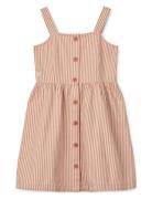 Zia Stripe Dress Pink Liewood