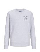 Jjeswift Sweat Crew Neck Mni Grey Jack & J S