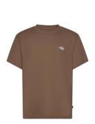 Summerdale Ss Tee Brown Dickies