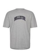 Hco. Guys Graphics Grey Hollister