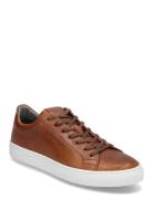 Sl100 Cup Low M Brown Björn Borg