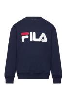 Babina Greda Classic Logo Crew Sweat Navy FILA