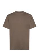 Hco. Guys Knits Brown Hollister