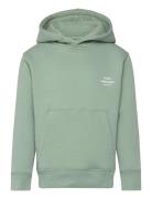 Standard Hudini Sweatshirt Green Mads Nørgaard