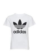 Trefoil Tee White Adidas Originals