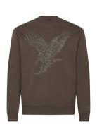 Sweatshirt Brown Armani Exchange