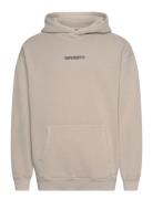 Micro Logo Graphic Loose Hood Beige Superdry