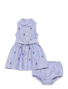 Belted Pony Oxford Shirtdress & Bloomer Blue Ralph Lauren Baby