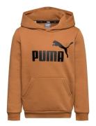 Ess Big Logo Hoodie Fl B Brown PUMA