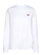 Ls Mapleton Tee W White Dickies