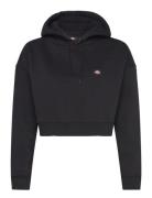 Oakport Cropped Hoodie Black Dickies