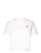 Oakport Boxy Ss Tee White Dickies