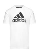 Lk Bl Co Tee White Adidas Sportswear