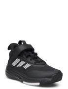 Ownthegame 3.0 K Black Adidas Sportswear