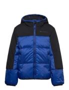 Hooded Jacket Blue Champion