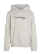 Inst. Logo Reg. Terry Hoodie Grey Calvin Klein