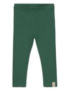 Legging Modal Green Petit Piao