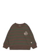 Sweat Shirt Line Brown Petit Piao