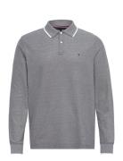 L/S Oxford Tipped Reg Polo Navy Tommy Hilfiger