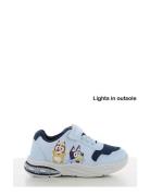 Bluey Sneaker Blue Leomil