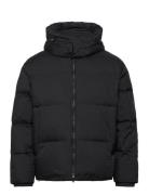 Down Jacket Black Emporio Armani