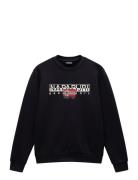 Aylmer Winter Sweatshirt Black Napapijri