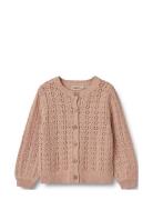 Knit Cardigan Celia Pink Wheat